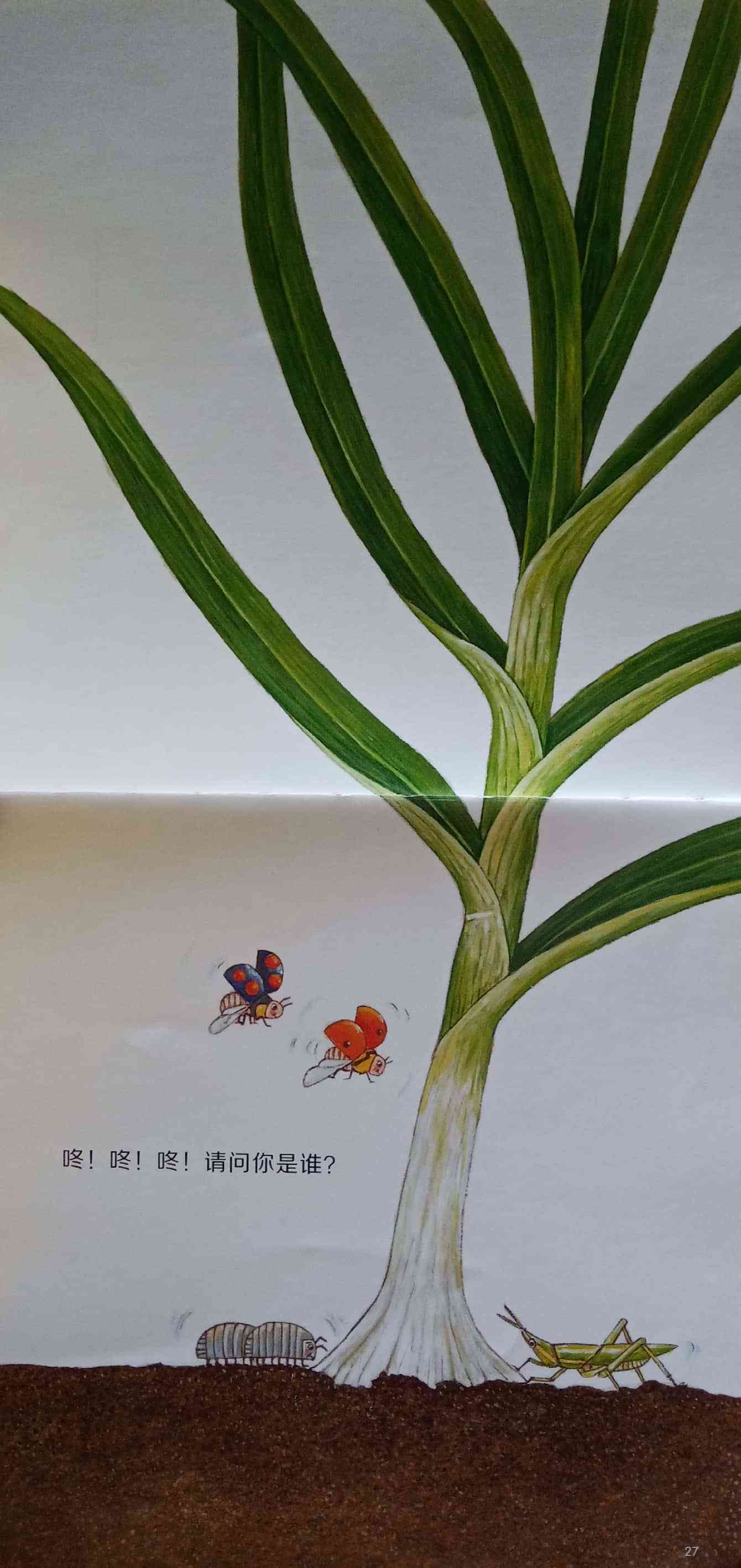 我的蔬菜宝宝