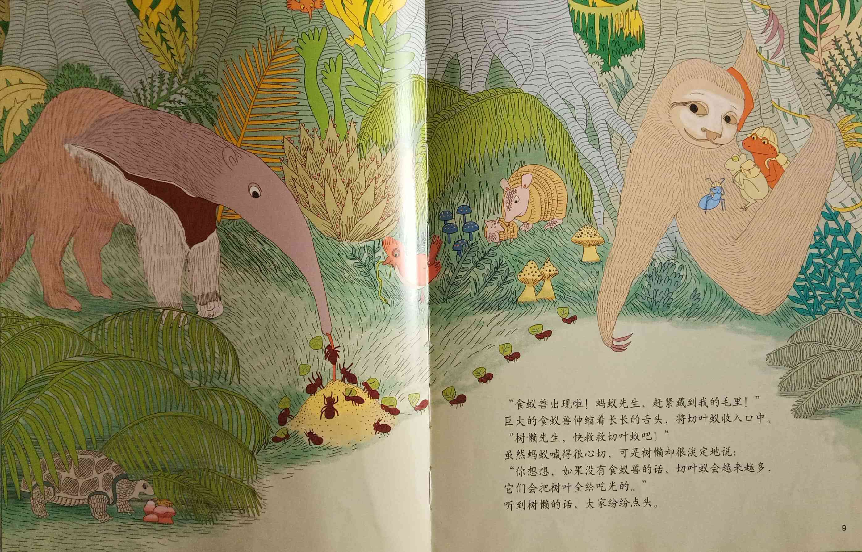 2020-06-02 绘本研究院 热带雨林探险队